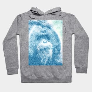 orangutan Hoodie